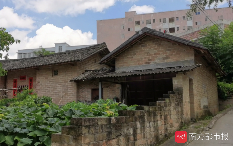 广东怀集标话:发音特别也称“豹话”,被感慨像另一世界来的